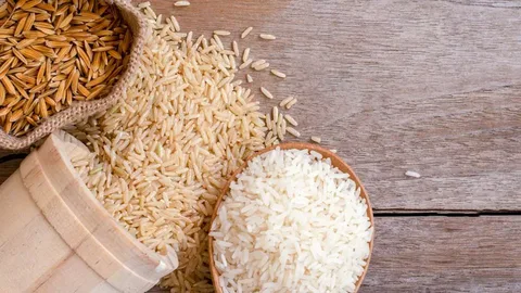 برنج طارم کشت دوم با دانه ‌های یک دست و طبیعی